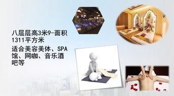 締造卓越 以國際標(biāo)準(zhǔn)打造物業(yè)文化經(jīng)紀(jì)服務(wù)體系